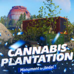 Cannabis Plantations
