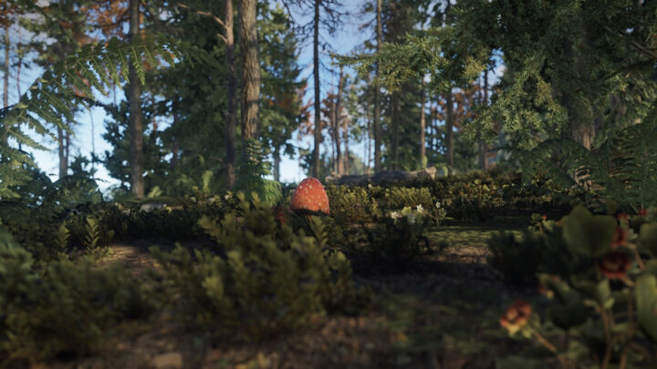 Bandit Island 19 Rust Bandit Island All Products