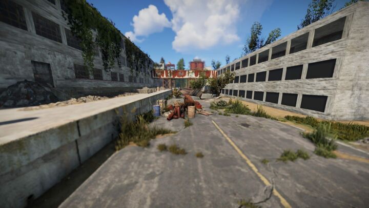 Rust Plant "Jupiter" All Products