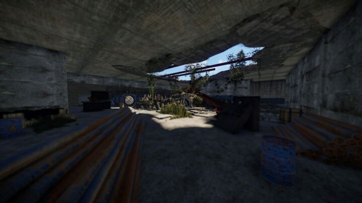 Rust Plant "Jupiter" All Products