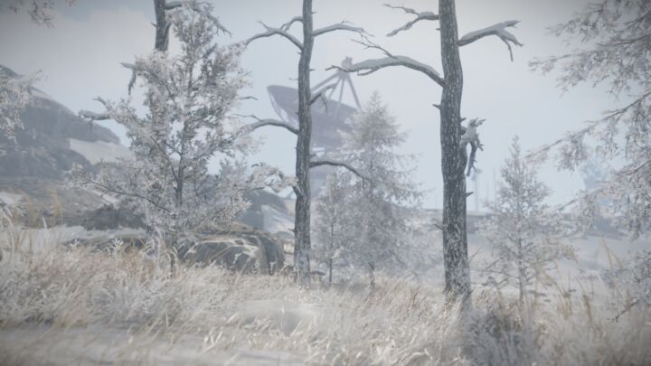 Bandit Island 10 Rust Bandit Island All Products