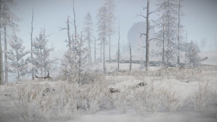 Bandit Island 72 Rust Bandit Island All Products