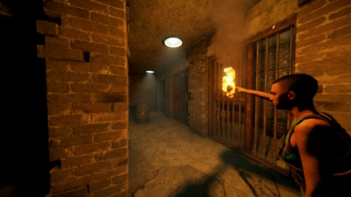 Rust Plant Rostock All Products