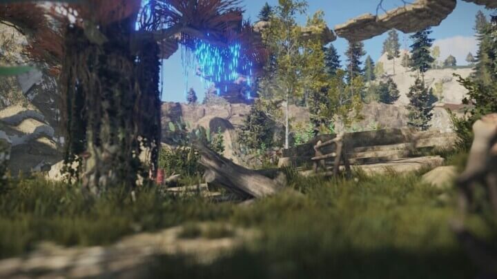 Rust Dreamland All Products