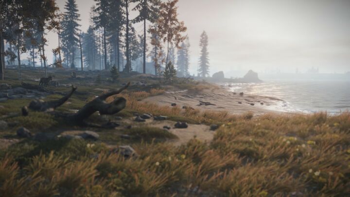 Rust The Lost Island All Products