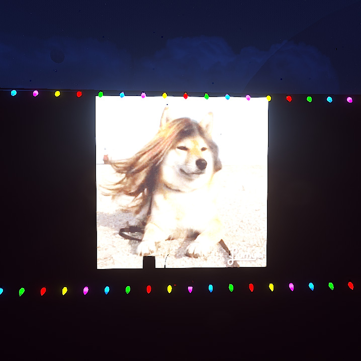 Rust Z-VideoPlayer All Products