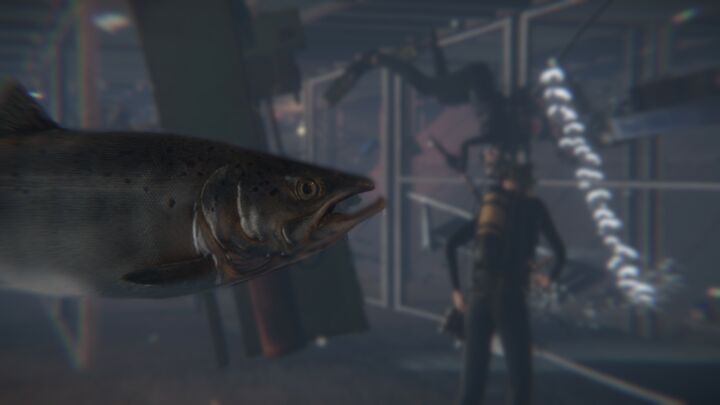 Rust WaterEvent All Products