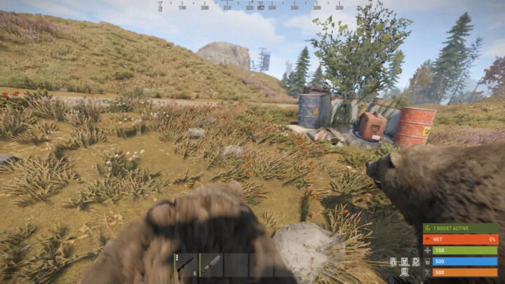 IQBearRide 3 Rust IQBearRide All Products