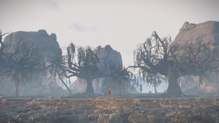 Dragon World - Fantasy Island 20 Rust Dragon World - Fantasy Island All Products