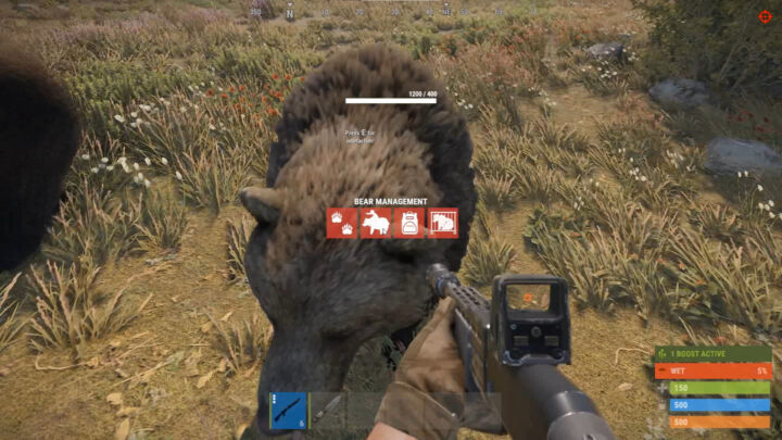 IQBearRide 2 Rust IQBearRide All Products