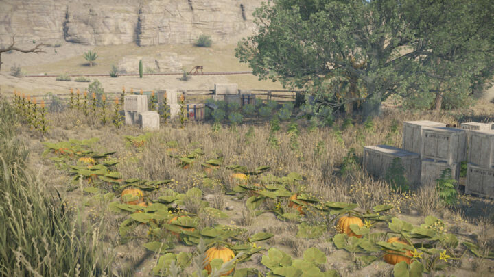 Rust Bandit Ranch All Products