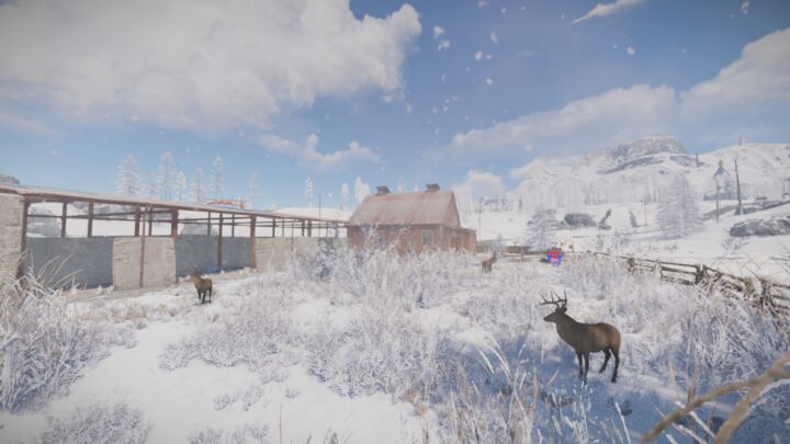 Rust Lapland (Christmas map) All Products