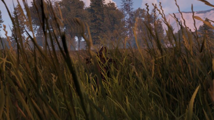 Foreign Lands 47 Rust Foreign Lands All Products