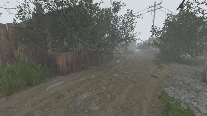 Rust Turtleland Island All Products