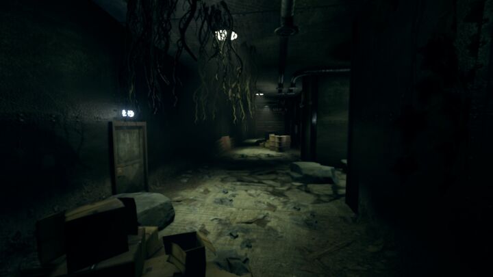 Rust Turtleland Island All Products