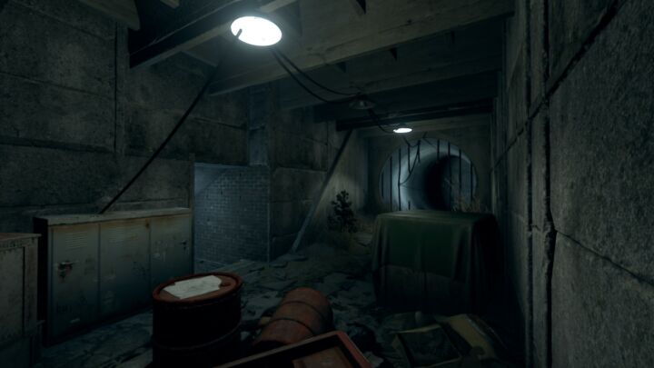 Rust Turtleland Island All Products