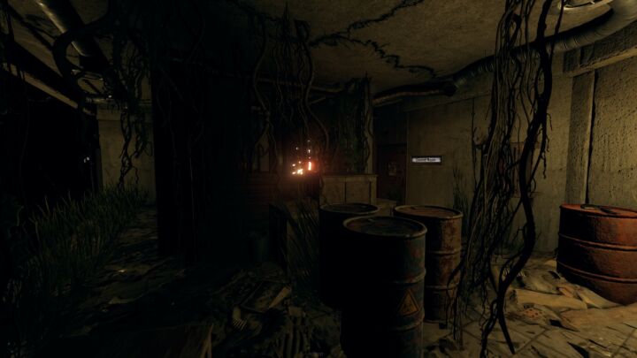 Rust Turtleland Island All Products