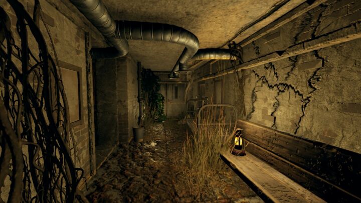 Rust Turtleland Island All Products