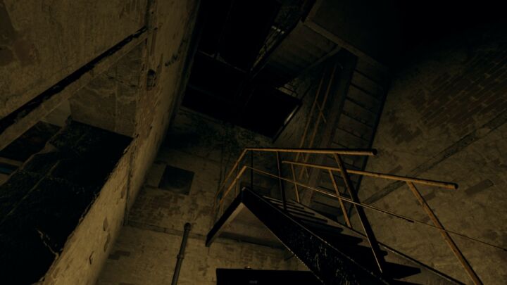 Rust Turtleland Island All Products