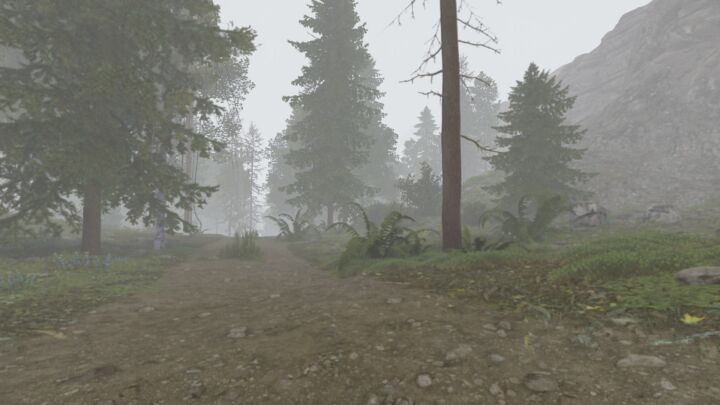 Rust Turtleland Island All Products