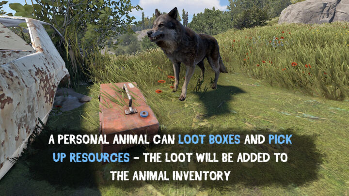 Rust Personal Animal All Products