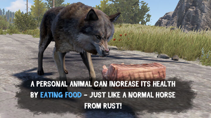 Rust Personal Animal All Products