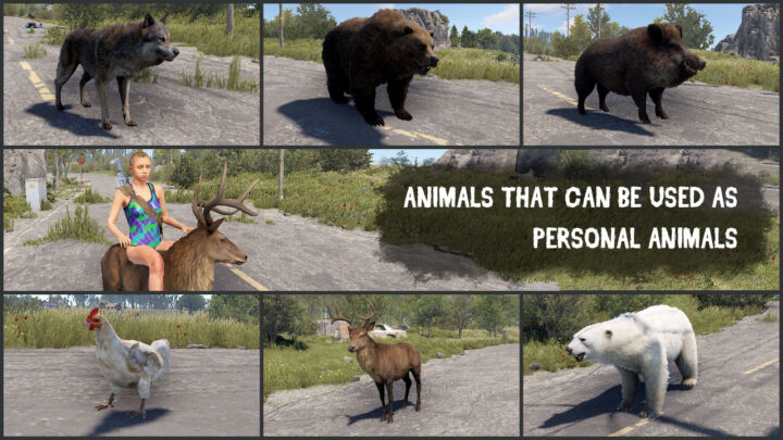 Rust Personal Animal All Products