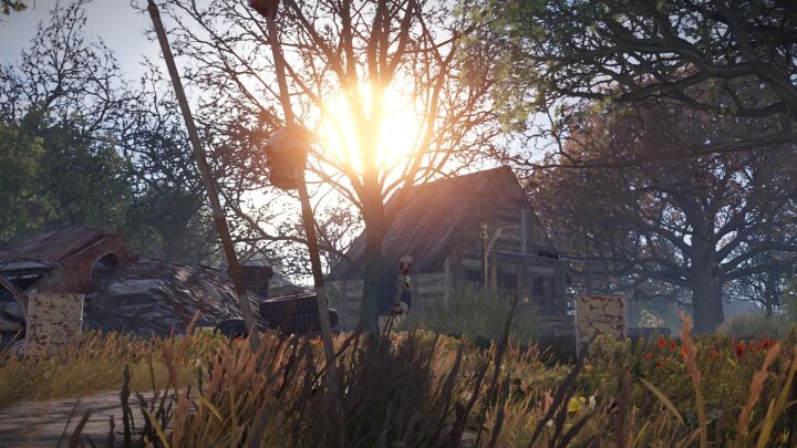 Rust Dark Forest All Products