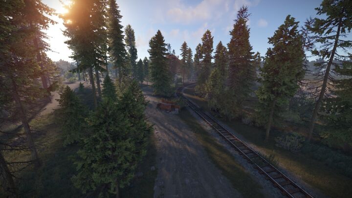 Rust Dark Forest All Products