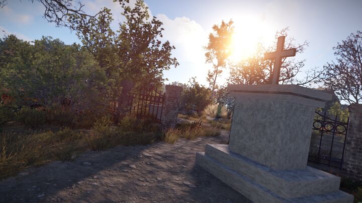 Rust Dark Forest All Products