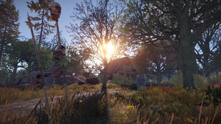 Rust Dark Forest All Products