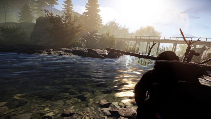 Rust Dark Forest All Products