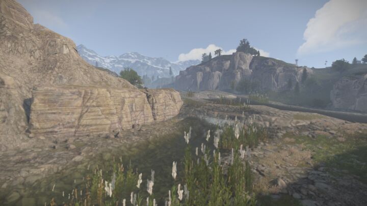 Rust Snake Island All Products