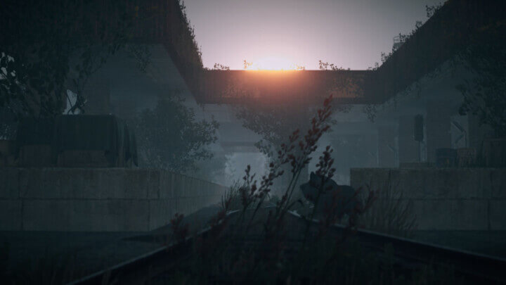 Rust Abandoned Island All Products