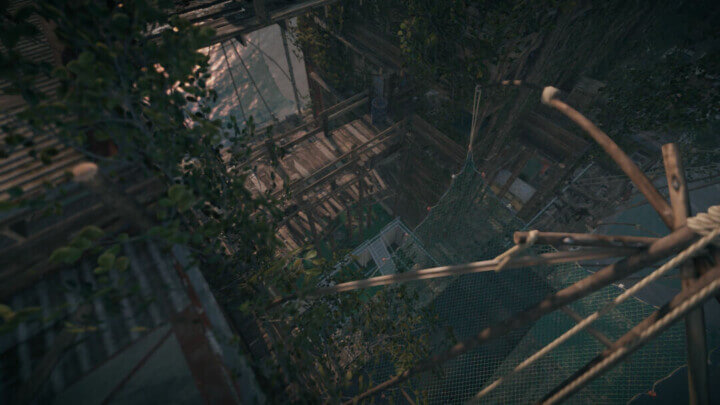 Rust New Dawn All Products