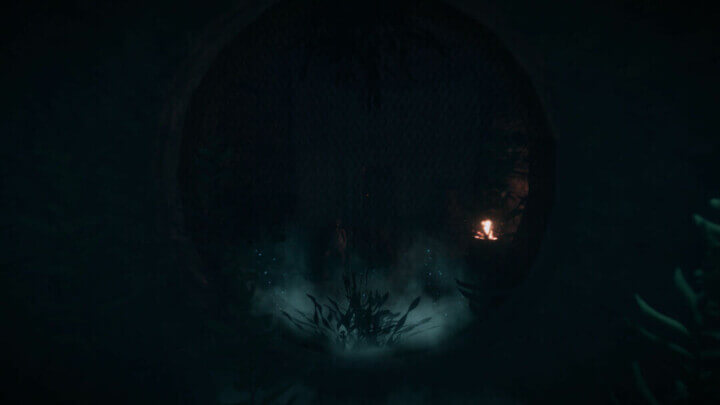 Rust New Dawn All Products