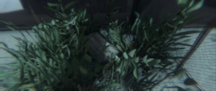 Rust Tuna Factory All Products