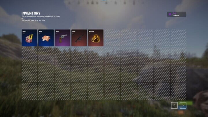 Rust IQCases All Products