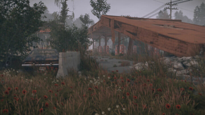 Rust Forbidden lands All Products