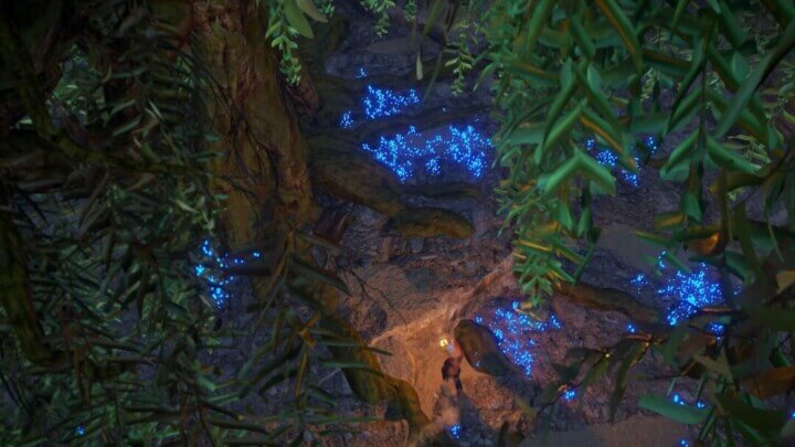 Blue Tears 10 Rust Blue Tears All Products