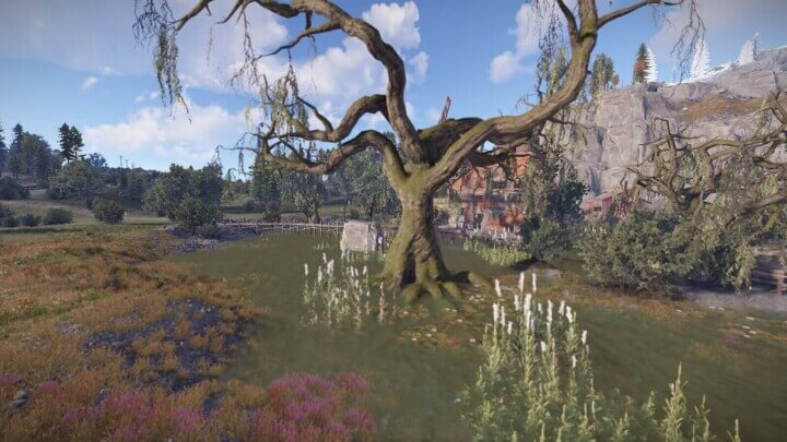 Rust Dellora Island All Products