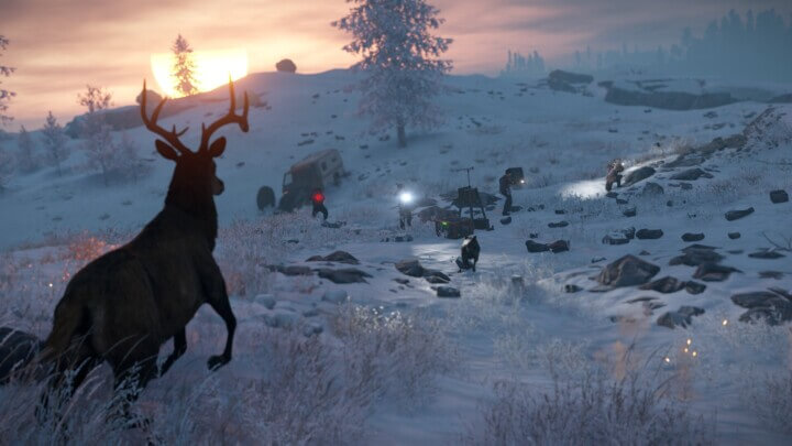 Rust Triangulation All Products