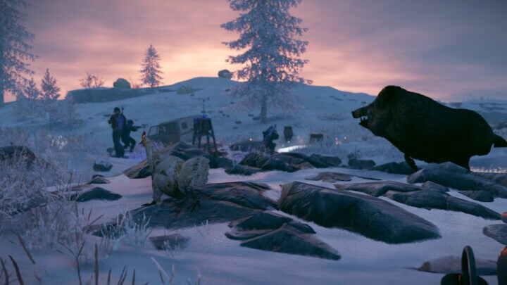 Rust Triangulation All Products