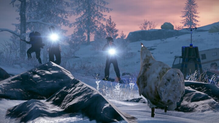 Rust Triangulation All Products