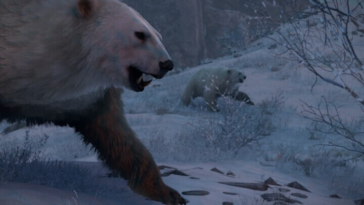 Rust Triangulation All Products