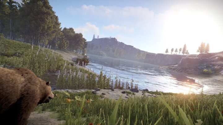 Rust Grand Island All Products