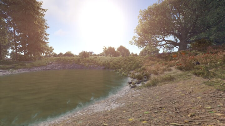 Rust Exile: The Forgotten Island All Products