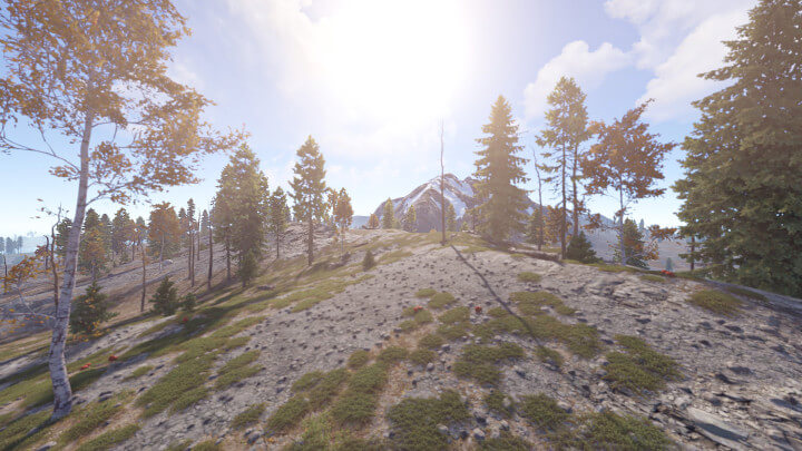 Rust Velora: City Takeover All Products