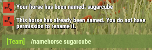 Name Your Horse 1 Rust Name Your Horse All Products