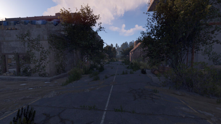 Rust Sandalwood All Products